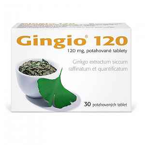 GINGIO 120 120MG potahované tablety 30