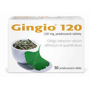 GINGIO 120 120MG potahované tablety 30