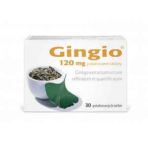 GINGIO 120 120MG potahované tablety 30