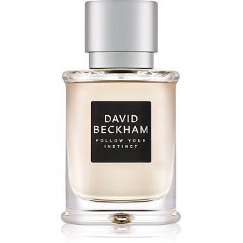 David Beckham Follow Your Instinct toaletní voda pro muže 50 ml