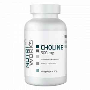 Choline 500mg - 90 kapslí