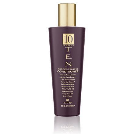 Alterna TEN Perfect Blend Conditioner - Kondicionér pro okamžité zvlhčení dehydratovaných vlasů 250 ml