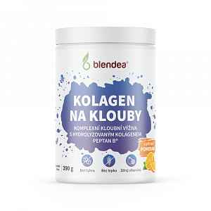 Blendea Směs Kolagen na klouby 390 g