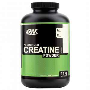 Optimum Nutrition Creatine Powder unflavored 634g