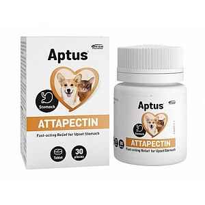 APTUS Attapectin 30 tablet