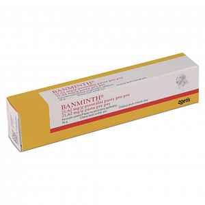 BANMINTH pasta 24g a.u.v.