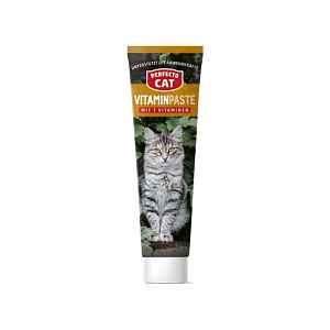Perfecto Cat vitamínová pasta se 7 vitamíny 100 g