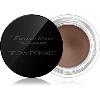 Pierre René Eyes Eyeliner pomáda na obočí odstín 01 Light Brown 4 g