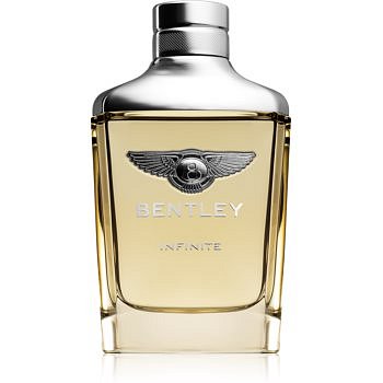 Bentley Infinite toaletní voda pro muže 100 ml