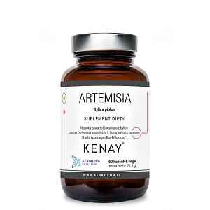 Kenay Artemisia bylina pelyněk 60 kapslí