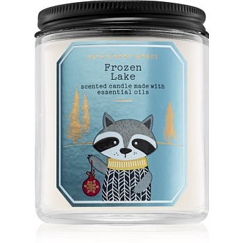 Bath & Body Works Frozen Lake vonná svíčka 198 g