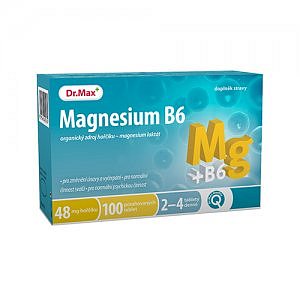 Dr.Max MAGNESIUM B6 tbl 100