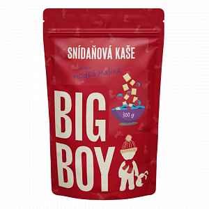BIG BOY Kaše Modrá malina se spirulinou - 300g