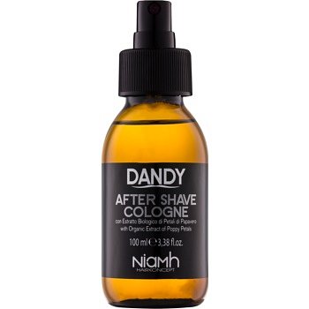 DANDY After Shave voda po holení  100 ml