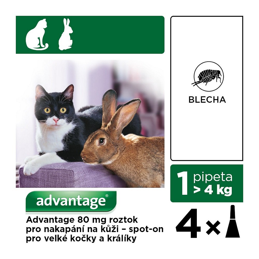 ADVANTAGE pro kočky a králíky nad 4kg 4ks
