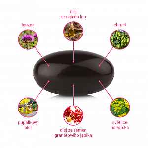 NadraIN FORTE větší objem a pevnost ňader 60ks