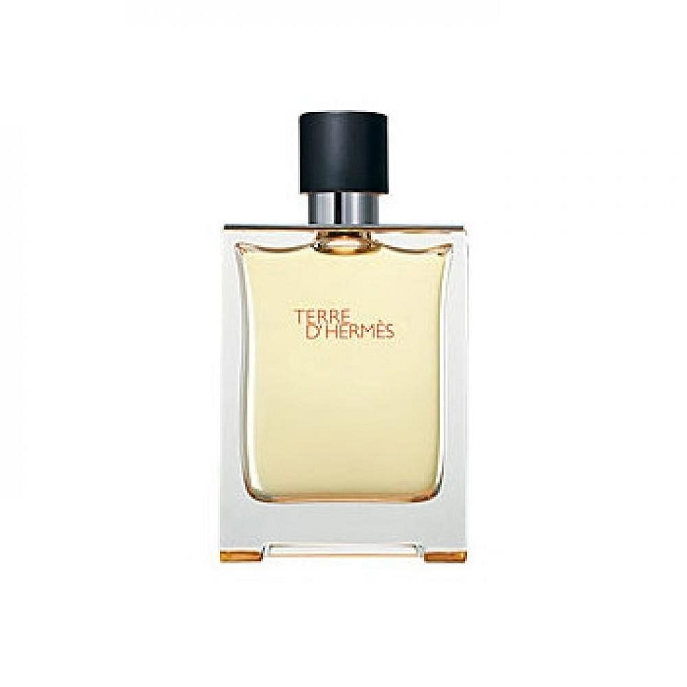 Hermès Terre D&#039;Hermès toaletní voda pánská 200 ml