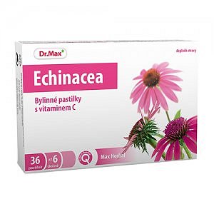 Dr.Max HERBAL BYLINNÉ PASTILKY ECHINACEA 36 pastilek