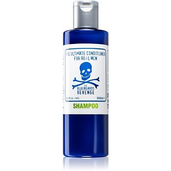 The Bluebeards Revenge Hair & Body šampon pro všechny typy vlasů  250 ml