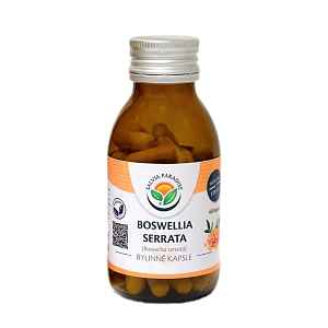 Boswellia serrata - kadidlovník - 60 kapslí