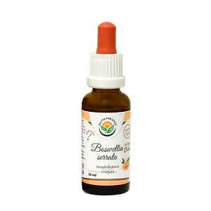 Boswellia serrata - kadidlovník bezalkoholová tinktura 30 ml
