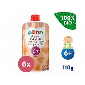 6x SALVEST Põnn BIO Pyré z dýně, brambor a manga (110 g)