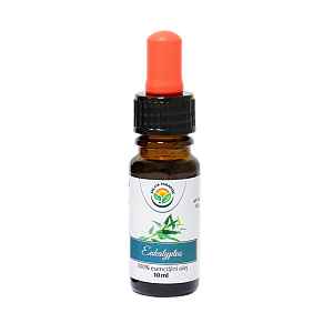Esenciální olej - Eukalyptus - 10 ml