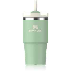 Stanley Quencher H2.O FlowState™ Tumbler nerezový tumbler s brčkem malý Pistachio 1 ks