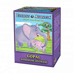 EVEREST-AYURVEDA GOPAL Dýchací cesty 100 g sypaného čaje