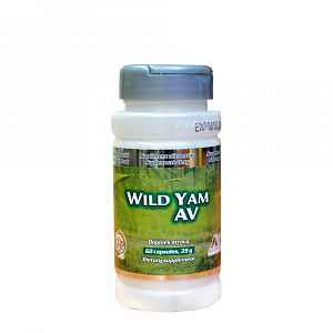 STARLIFE WILD YAM STAR 60 cps