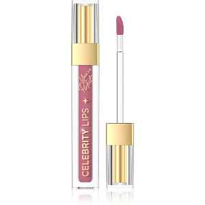 Eveline Cosmetics Celebrity Lips dlouhotrvající matná tekutá rtěnka odstín 06C 4 ml