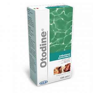 Otodine 100ml