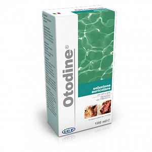 Otodine 100ml