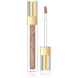 Eveline Cosmetics Celebrity Lips dlouhotrvající matná tekutá rtěnka odstín 02NW 4 ml