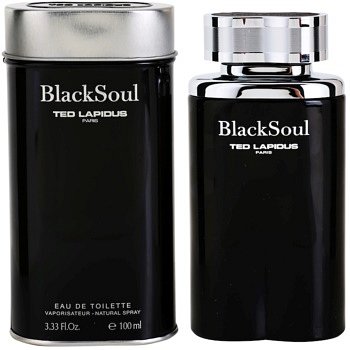Ted Lapidus Black Soul toaletní voda pro muže 100 ml