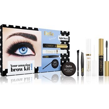 Delia Cosmetics Eyebrow Expert Light Black kosmetická sada na obočí