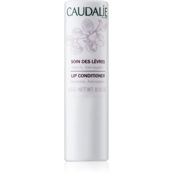 Caudalie Moisturizers balzám na rty  4 g