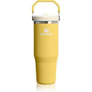 Stanley IceFlow™ Flip Straw 2.0 Tumbler nerezová termoláhev Daffodil 1 ks