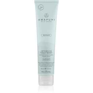 Paul Mitchell Awapuhi Wild Ginger Repair Intevsive Treatment intenzivní vlasová kúra pro poškozené vlasy 150 ml