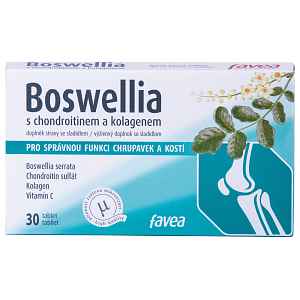 Favea Boswellia s chondroitinem a kolagenem tbl.30