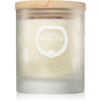 Maison Berger Paris Aroma Love vonná svíčka Voracious Flower 180 g