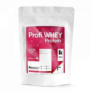 KOMPAVA Profi WHEY Protein – vánoční edice (příchuť perník, 500 g / 16 porcí)