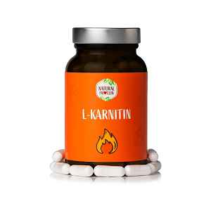 L-Karnitin 1 ks