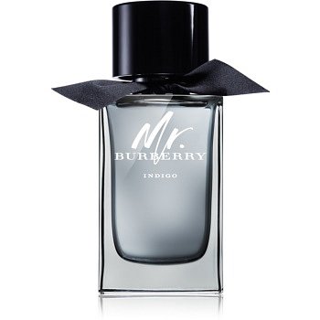 Burberry Mr. Burberry Indigo toaletní voda pro muže 150 ml