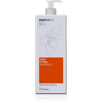 Framesi Morphosis Purifying šampon proti lupům 1000 ml