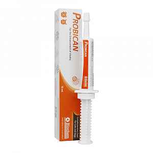 PROBICAN pasta 15 ml a.u.v.
