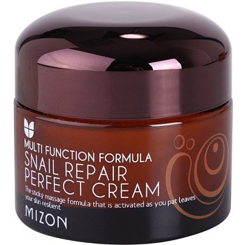 Mizon Multi Function Formula  pleťový krém s filtrátem hlemýždího sekretu 60% 50 ml