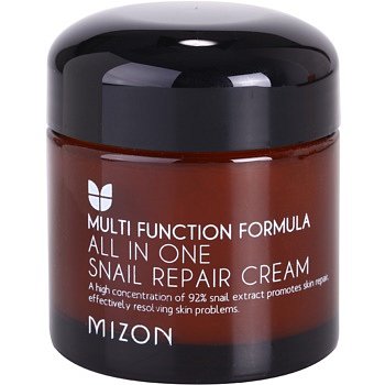 Mizon Multi Function Formula  regenerační krém s filtrátem hlemýždího sekretu 92% 75 ml