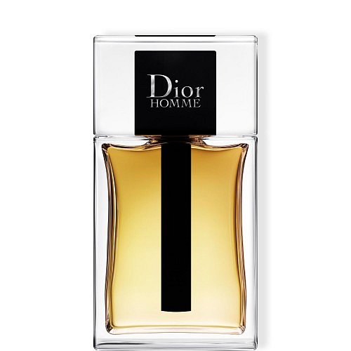 Dior Dior Homme Eau de Toilette New toaletní voda 100 ml