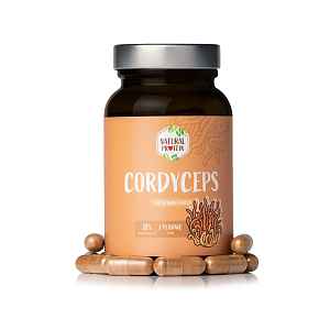 Cordyceps (kapsle) 1 ks